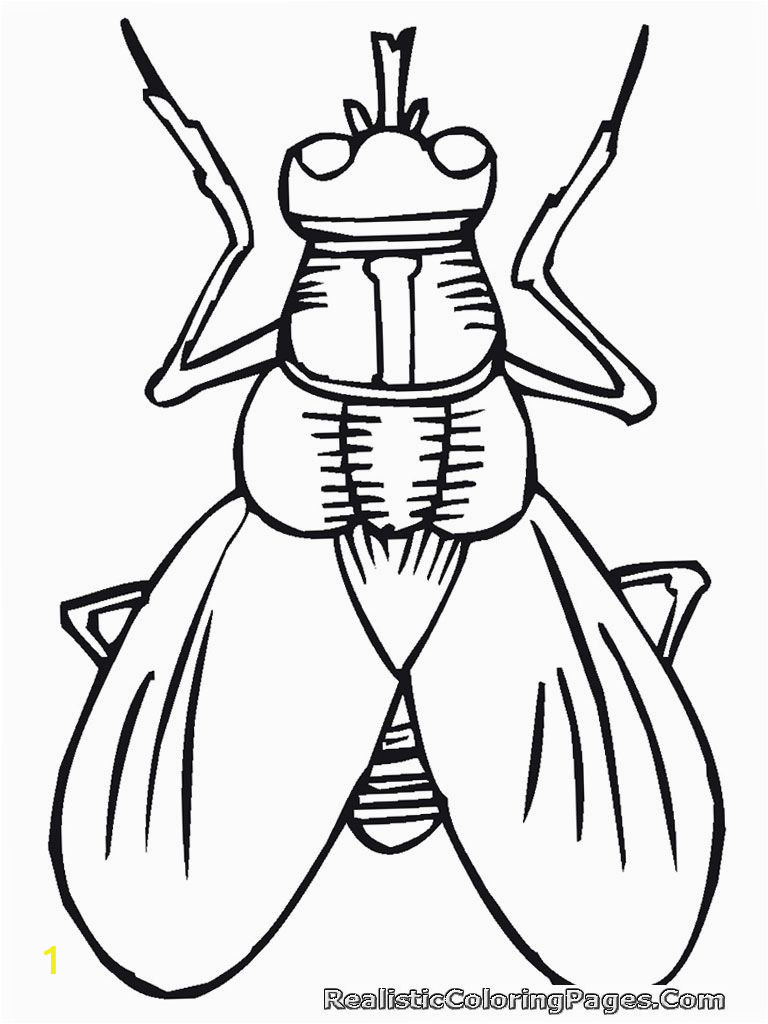 Free Printable Insect Coloring Pages Cartoon Insect Coloring Pages with Images
