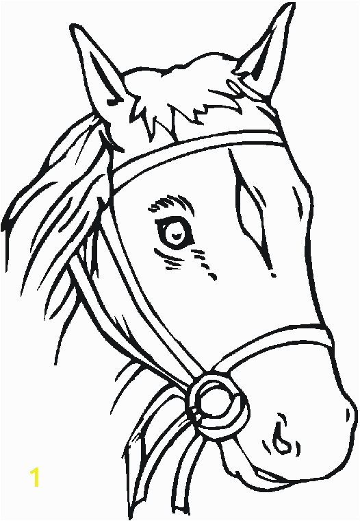 Coloring Pages Of A Horse Head Head Page Clipart Clipground