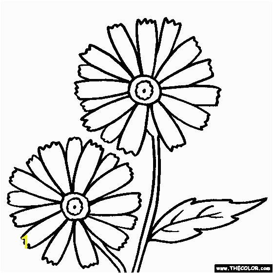 Daisy Flower Garden Journey Coloring Pages Daisy Flower Garden Journey Coloring Pages Best Coloring