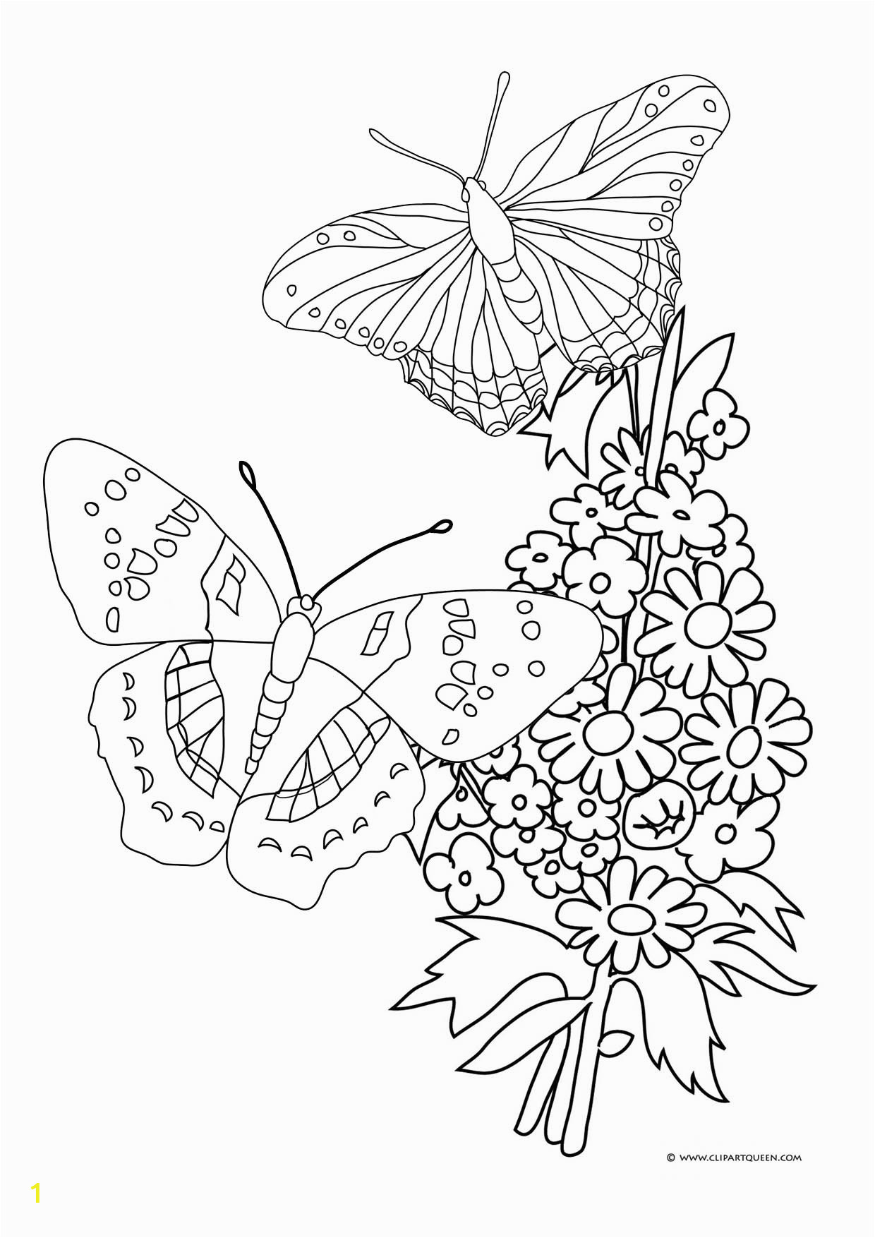 flowers and butterflies drawing