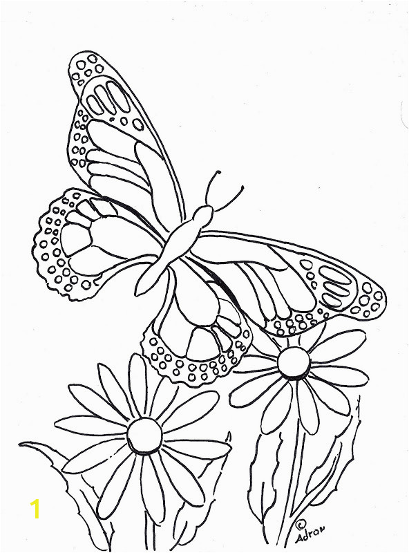 printable butterfly and flower coloring