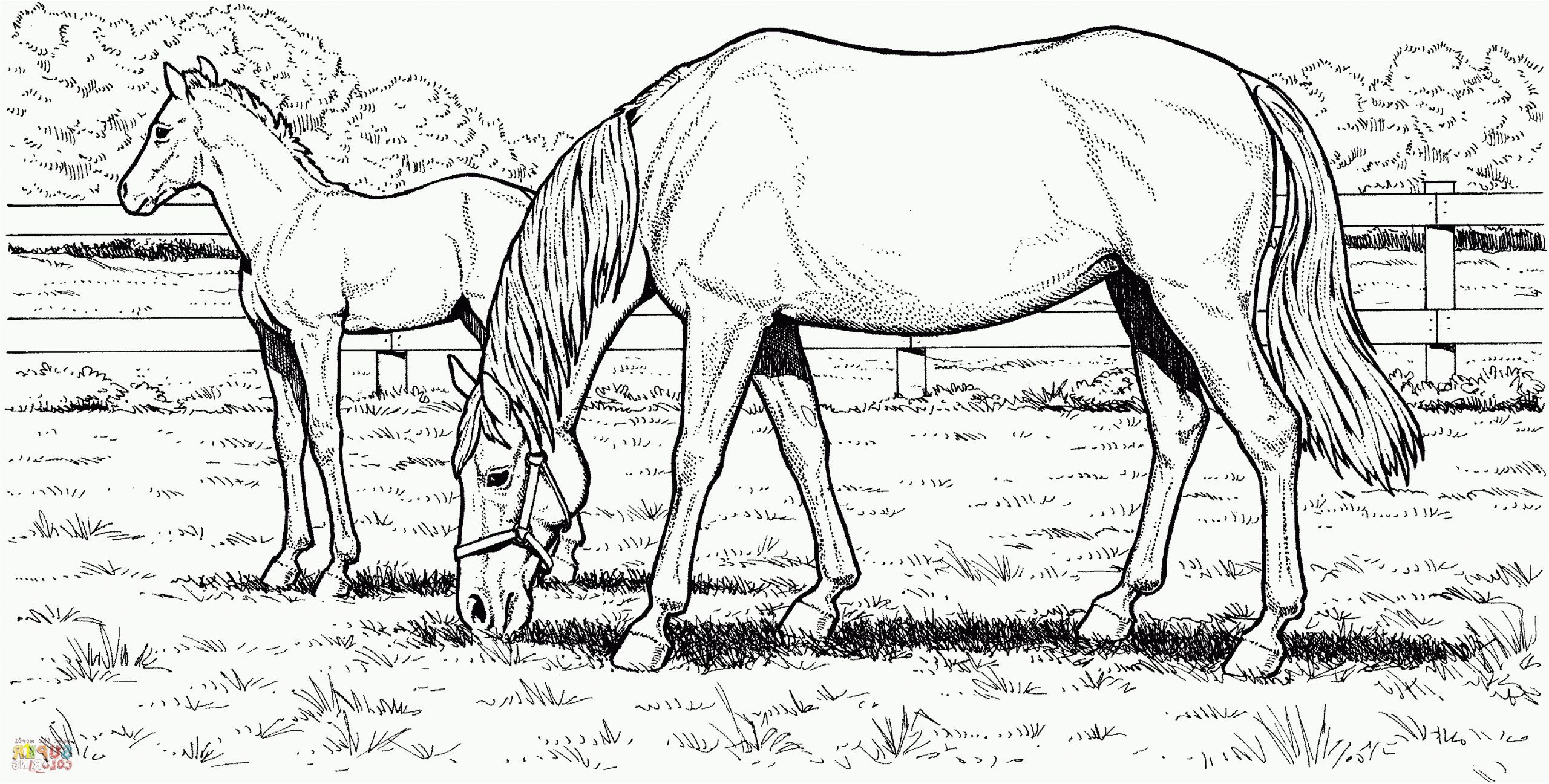 Free Printable Realistic Horse Coloring Pages | divyajanan