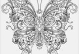 Adult Coloring Page butterfly butterfly Coloring Pages Free to Print at Coloring Pages