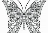 Adult Coloring Page butterfly Coloring Pages Free butterfly Coloringages for Adults