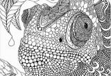 Advanced Coloring Pages Printable Advanced Coloring Pages Best Advanced Peacock Coloring Pages New