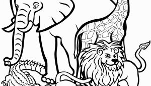 African Animals Coloring Pages for Kids African Animals Coloring Page