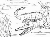 Aligator Coloring Pages Alligator Coloring Pages Awesome Alligator Coloring Pages A Coloring