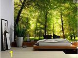 Amazon forest Wall Mural Nice Removable Wall Mural Amazon Wall26 Crowded forest