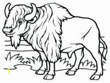 American Bison Coloring Page Bison Coloring Page American Pages Disney Easy Herd for Kids Nice