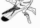 American Kestrel Coloring Page American Kestrel American Kestrel Coloring Pages 4