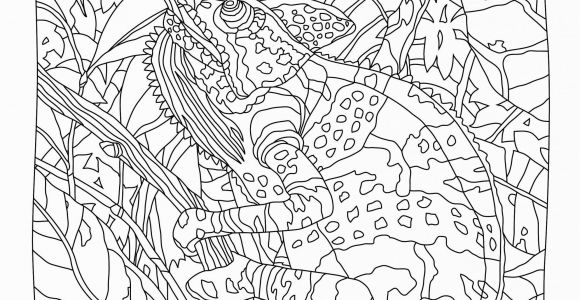 Animal Camouflage Coloring Pages Printable Life is About Using the whole Box Of Crayons Go Wild with