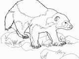 Animal Coloring Pages Printable Wolverine Animal Coloring Page