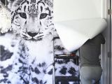 Animal Print Wall Murals Snow Leopard Wallpaper Mural Diy