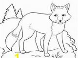 Arctic Fox Coloring Pages 97 Best Arctic Fox Images On Pinterest