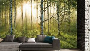 Argos Wall Mural forest 1 Wall forest Giant Mural Sportpursuit