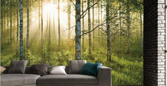 Argos Wall Mural forest 1 Wall forest Giant Mural Sportpursuit