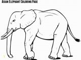 Asian Elephant Coloring Page asian Elephant Coloring Page Jenny at Dapperhouse