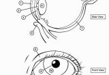 Ask A Biologist Coloring Page these Two Obviously Don T See Eye to Eye