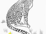 Baby Cheetah Coloring Pages 1081 Best 30 Cute Animal Coloring Pages Images