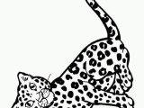 Baby Cheetah Coloring Pages Cute Baby Cheetah Coloring Pages Real Cheetah Coloring Pages
