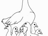 Baby Goose Coloring Pages Charlotte S Web Coloring Pages