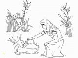 Baby Moses Coloring Page Printable Free Moses Coloring Pages Castrophotos