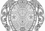 Baby Turtle Coloring Pages 59 Most Magic Free Printable Sun Coloring Pages for Adults