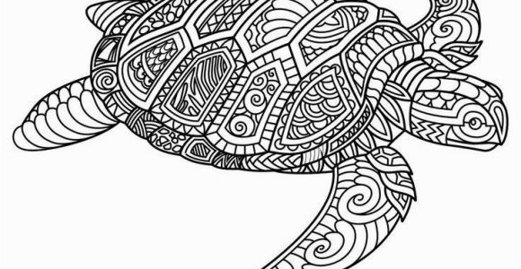 Baby Turtle Coloring Pages Image Result for Free Mandala Coloring Page with A Lizard or