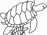 Baby Turtle Coloring Pages Kipling Dc