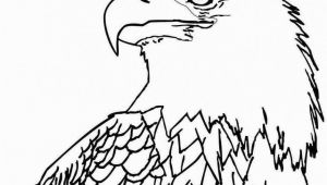Bald Eagle Coloring Page 12 Unique Bald Eagle Coloring Page