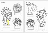 Barrier Reef Coloring Pages Corals Template