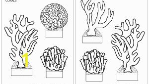 Barrier Reef Coloring Pages Corals Template