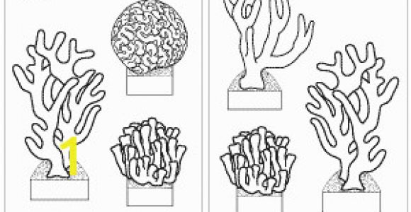 Barrier Reef Coloring Pages Corals Template