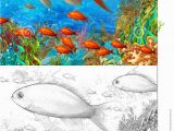 Barrier Reef Coloring Pages the Coral Reef Small Colorful Coral Fishes with Coloring