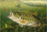 Bass Fishing Wall Murals Paintings Of Large Mouth Bass