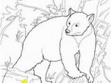 Bear In Cave Coloring Page 137 Best the Book Of the Night World Images On Pinterest