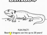 Bearded Dragon Coloring Pages 156 Best Bearded Dragon Images On Pinterest In 2018