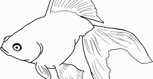Betta Fish Coloring Pages Betta Fish Coloring Pages New Fish Coloring Pages for Adults New