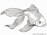 Betta Fish Coloring Pages Tropical Fish Coloring Pages