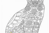 Big Cat Coloring Pages Jhampel Jenniferhampel On Pinterest