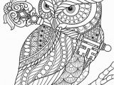 Big Cat Coloring Pages Pin Auf Coloring