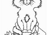 Big Cat Coloring Pages Pin by Sea Puddles On Coloring Pages