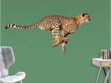 Big Cat Wall Murals Cheetah Life Size Animal Removable Wall Decal In 2019