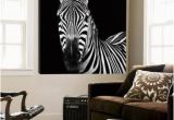 Big Head Wall Murals Zebra Ii Prints by Debra Van Swearingen at Allposters