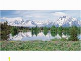 Biggies Wall Mural Biggies Wall Mural 60 X 120 Mountain Flower Fice Depot