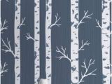 Birch Tree Wall Mural Diy 10 Best Birch Tree Wallpaper Images