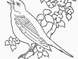 Bird Nest Coloring Page Coloring Page A Bird Nest