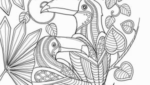 Bird Of Paradise Coloring Page Keep Calm and Color Birds Of Paradise Coloring Book Free