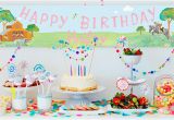 Birthday Party Wall Murals Kids Birthday Banners Gifts