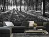 Black and White Tree Wall Mural Bws Black & White forest